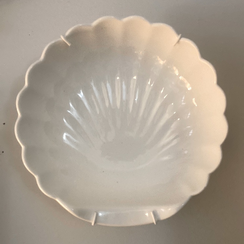 Art Deco Wall Display and Seashell Decor
